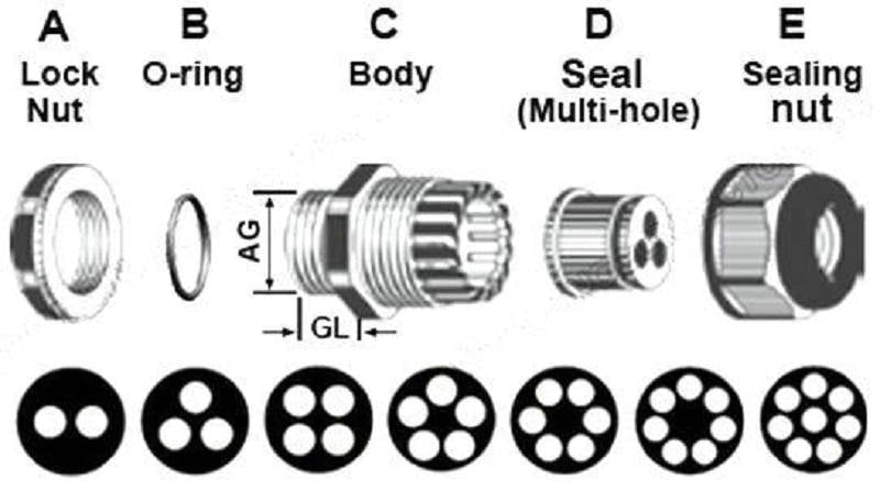 Multi Hole Electrical Cable Gland